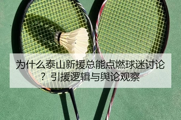 为什么泰山新援总能点燃球迷讨论？引援逻辑与舆论观察